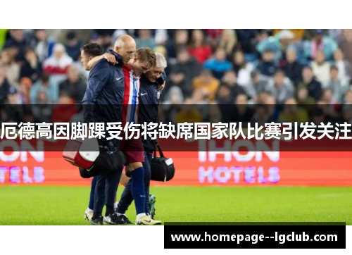 厄德高因脚踝受伤将缺席国家队比赛引发关注